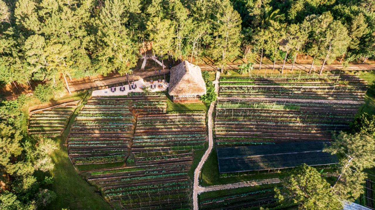 Blancaneaux Lodge By Francis Ford Coppola San Ignacio Εξωτερικό φωτογραφία